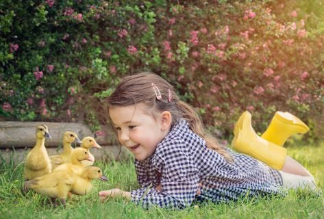 girl with ducks